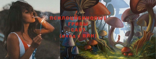 стафф Абдулино