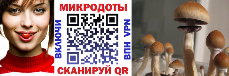 Галлюциногенные грибы GOLDEN TEACHER  Яранск 